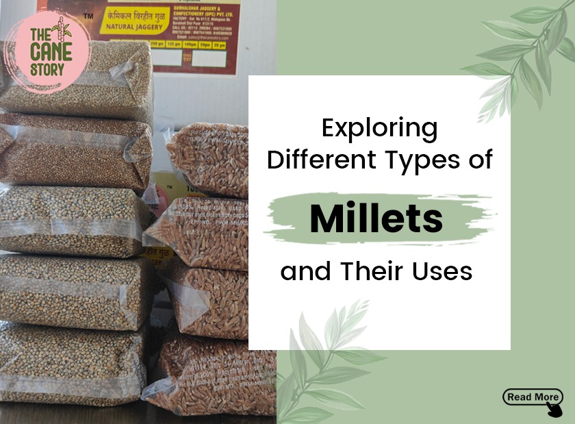 Exploring Different Types of Millets and Their Uses